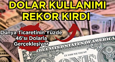 Dolar Kullanımı Rekor Kırdı