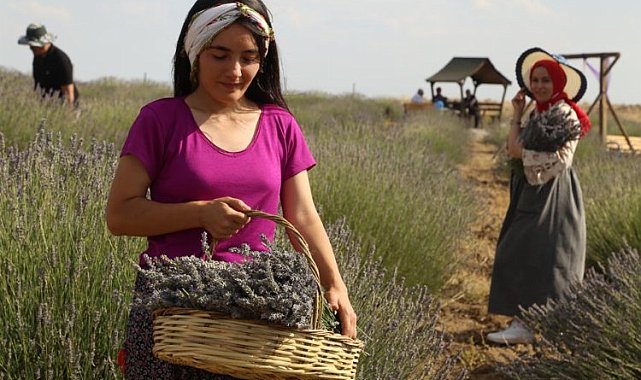 Malatya Arguvan'ın güzellikleri objektiflere yansıdı