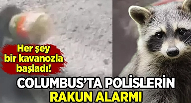 Polisler Columbus'taki benzinlikte rakun için seferber oldu
