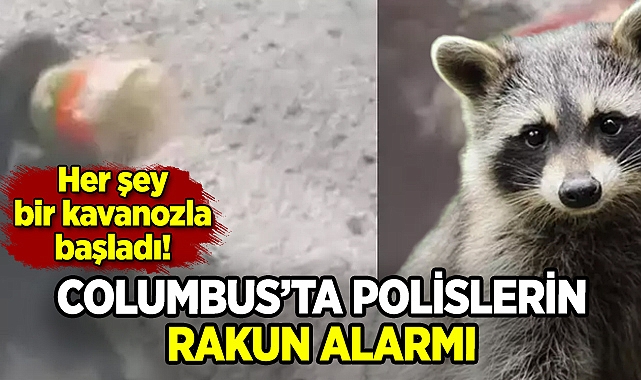 Polisler Columbus'taki benzinlikte rakun için seferber oldu