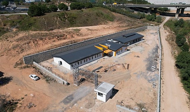 Sokak hayvanları için rehabilitasyonda sona doğru