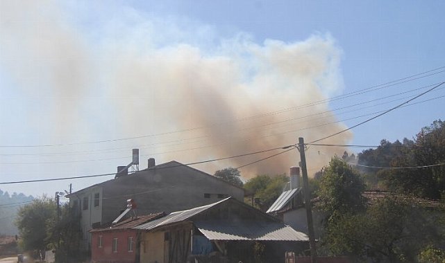 Arazi yangını ormanlık alana sıçramadan söndürüldü