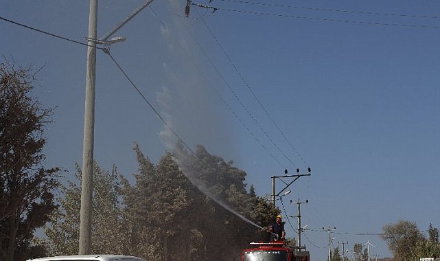 Bandırma'da elektrik hatlarında itfaiye destekli temizlik