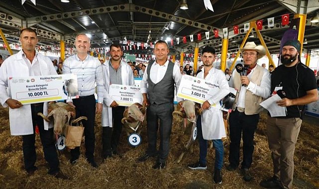 Bursa İnegöl'de 3. Küçükbaş Hayvancılık Festivali başlıyor