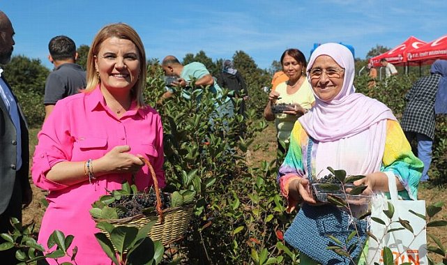 İzmit'te süper meyve aronya hasadı mutluluğu