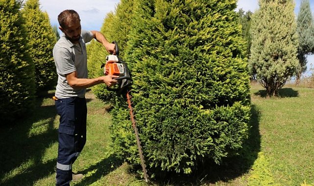 Kocaeli'de park ve bahçelerde sonbahar budaması