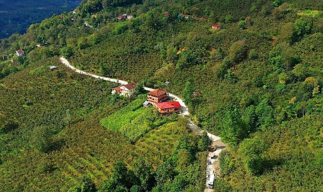 Kumru'da yolların konforu artıyor