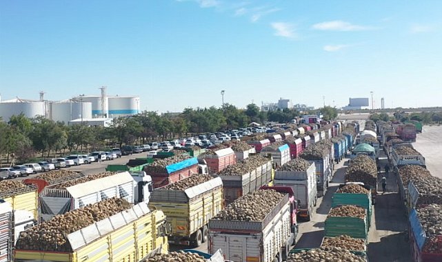 Pancar alım kampanyası başladı
