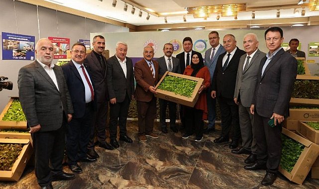 Belediye üretti, çiftçi dikecek