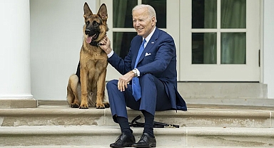 Isırma vakaları arttı, Biden’ın köpeği “Commander” Beyaz Saray’dan uzaklaştırıldı!