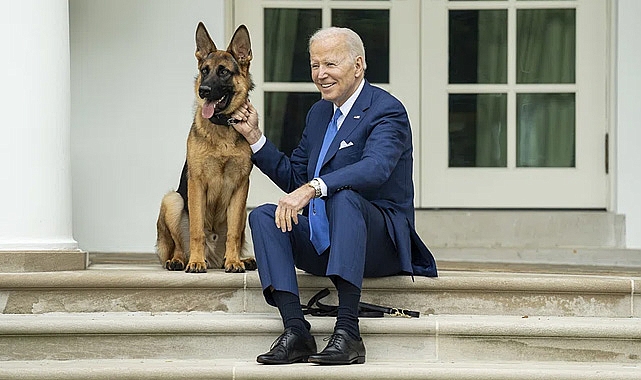 Isırma vakaları arttı, Biden’ın köpeği “Commander” Beyaz Saray’dan uzaklaştırıldı!