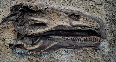 Paleontolojik kaynakları satan ekip çökertildi!