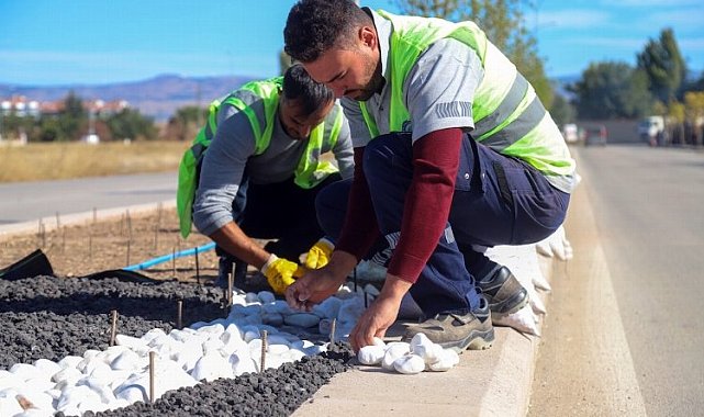 Su krizine karşı kuru peyzaj çözümü