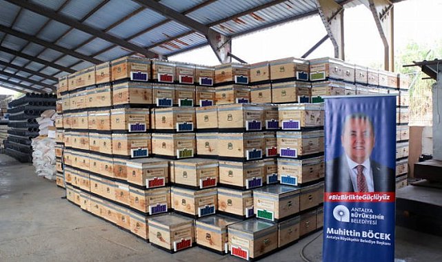 Antalya Büyükşehirden üreticilere 2 bin 500 kovan desteği
