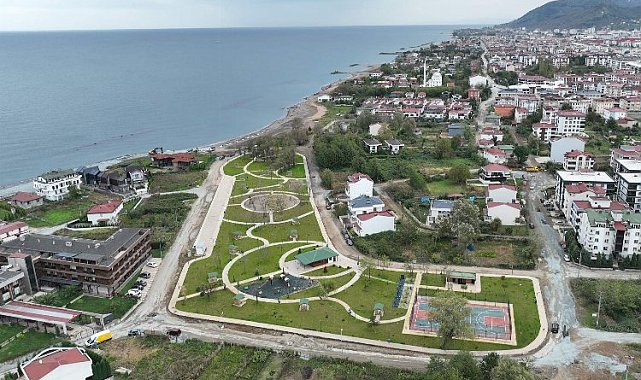 Bataklık yaşam alanına döndü