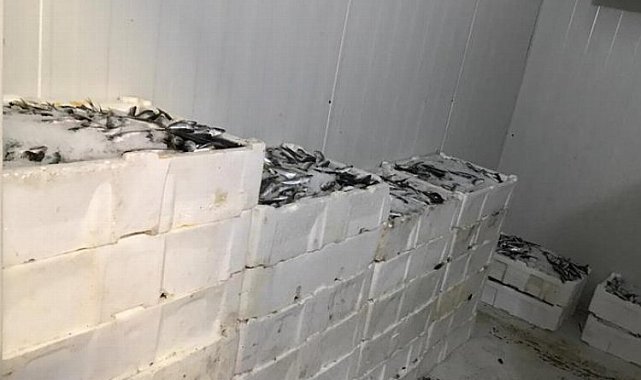 Bursa Balık Hali'nde sıkı denetim