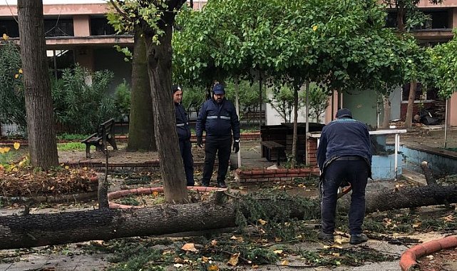 Bursa'da Osmangazi'de lodos mesaisi