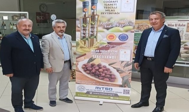 Coğrafi işaretli Milas zeytini 'Hasat Şenliği'nde taçlandı