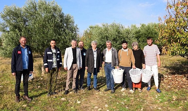 Manisa Turgutlu'da zeytin emekçilerine malzeme