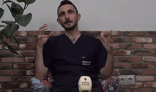 Veteriner hekimin isyanı: Hayvanları eşya gibi görmeyin!