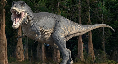 75 milyon yıllık T-Rex’in midesinde iki yavru dinozor fosili çıktı