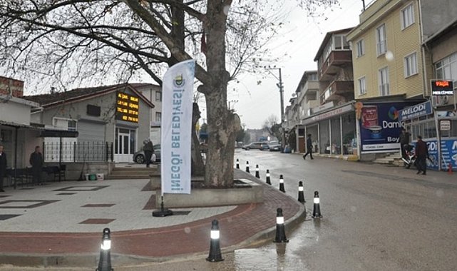 Bursa İnegöl'e Akhisar'da sokak hayvanlarına yardım eli çağrısı