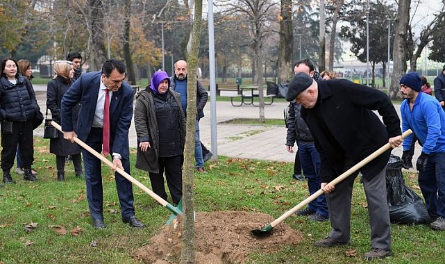 Bursa'da lodos yıktı Osmangazi Belediyesi yeşertiyor