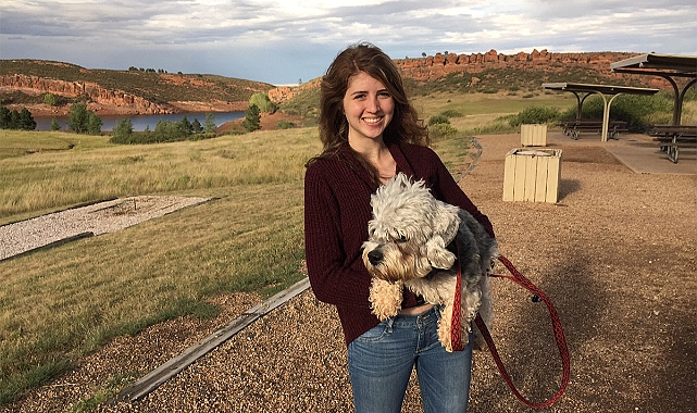 Kan donduran vahşet: Köpeğini çatıdan aşağı attı!