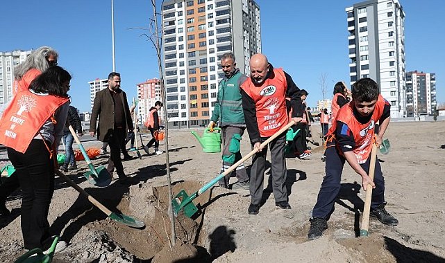 Kayseri Kocasinan'da toplu ağaç dikimi