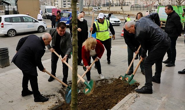 Büyükçekmece yeni yıla 24 mahalleye ağaç dikerek girdi