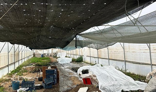 Manisa'da üreticiye sera naylon desteği