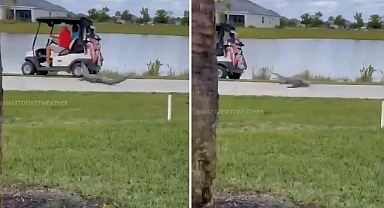 Florida'da dehşet: Golf sahasında timsah saldırısı!