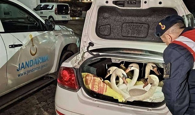 İpsala'da görenleri şaşkına çeviren olay