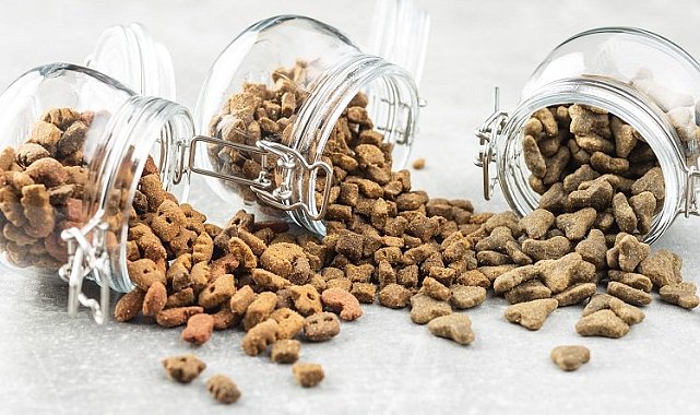 Kedi köpek maması ihracatı 27 katına çıktı