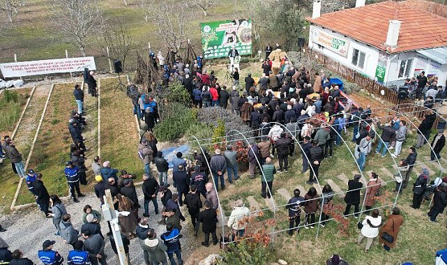 Muğla'da üreticilere fidan dağıtımına başladı