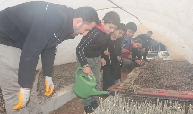 Şanlıurfa'da minikler tarımla buluştu