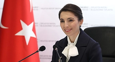 Türkiye Cumhuriyet Merkez Bankası Başkanı Hafize Gaye Erkan, Görevinden affını istedi