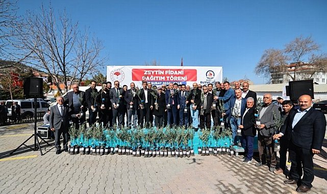 Denizli zeytinde kabuğunu kıracak