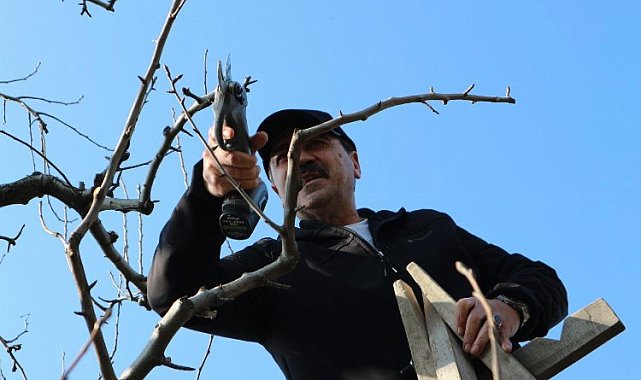 Gürsu'nun tarımına 'bağımsız' vizyon getirecek... Şefikoğlu'nun vizyonsal tarım projeleri