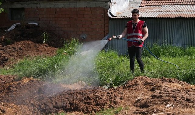 Düzce'de ilaçlama çalışmaları yeniden başladı