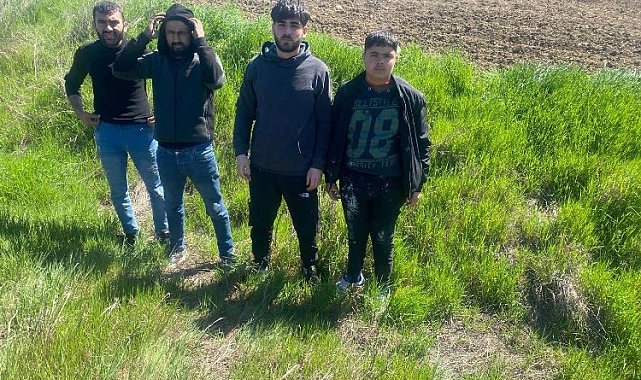 Edirne'de 4 göçmen yakalandı