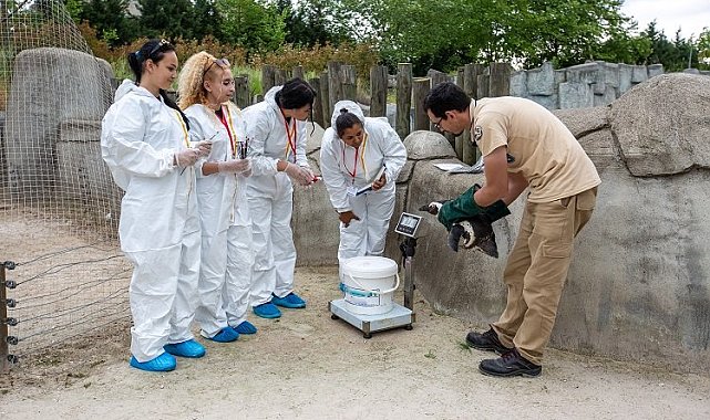 Erasmuslu öğrenciler Bursa Hayvanat Bahçesi'nde
