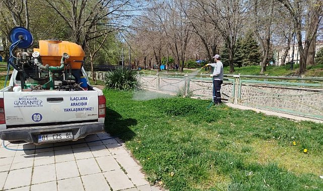 Gaziantep Büyükşehir, ilaçlama çalışmalarına yoğunlaştı