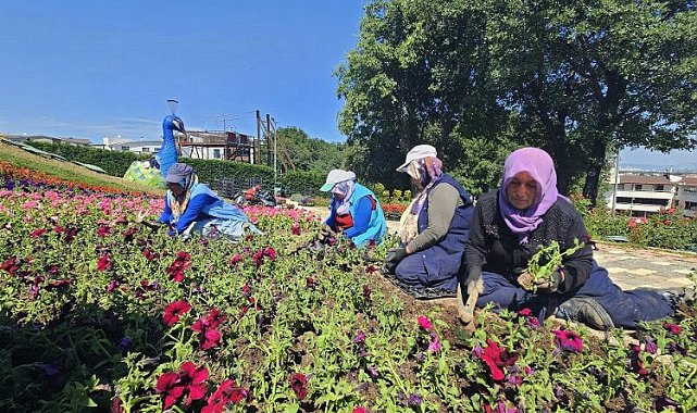 Bursa Osmangazi çiçek açıyor
