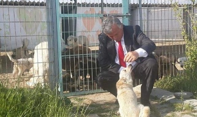 İpsala Sokak köpeklerine sahip çıkacak