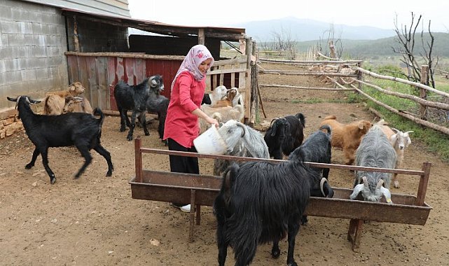 Muğlalı kadın üreticiler kazanıyor
