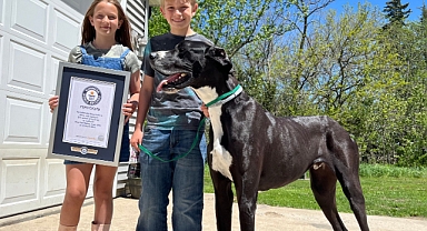 ABD'nin Dev Köpeği Kevin, Dünya Rekoru Kırdı!