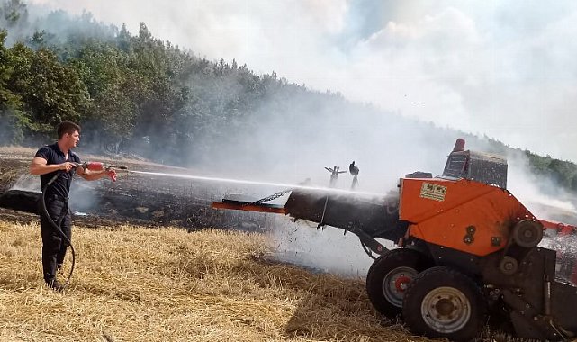Edirne'de anız yangını ormana sıçradı