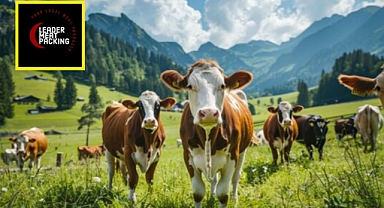 Leader Meat Packing, Kurbanlık Siparişi Almaya Başladı!