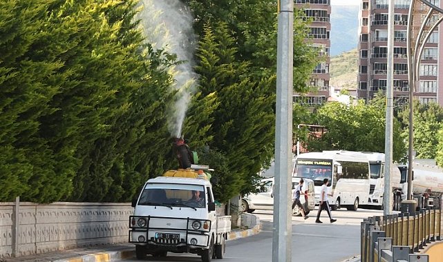 Tokat'ta sivrisinek, larva ve uçkun ile mücadele